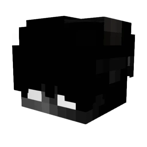 SinexWorld Minecraft avatar head, 3D render