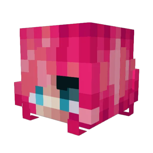 Sinfoniath Minecraft avatar head, 3D render