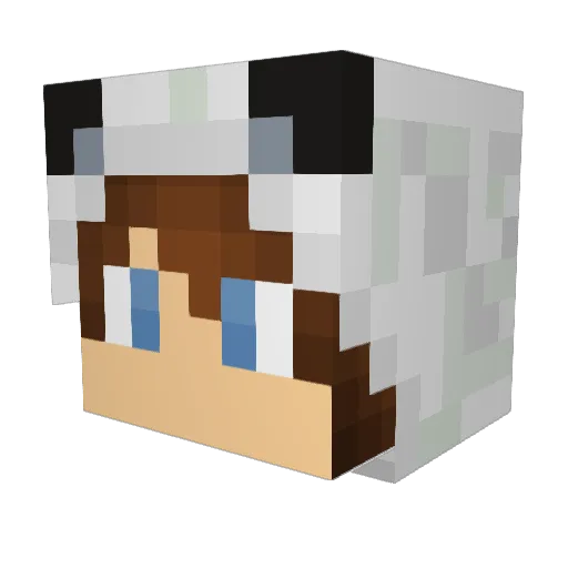 SingKing101 Minecraft avatar head, 3D render