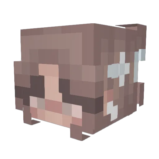 Singer217 Minecraft avatar head, 3D render