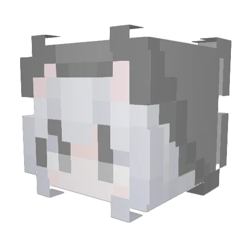 SingeriePlayer Minecraft avatar head, 3D render