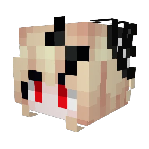 Singing0725 Minecraft avatar head, 3D render