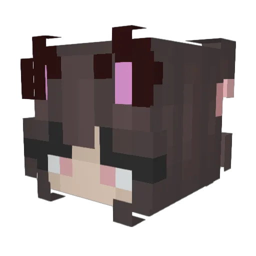 SinglePekka Minecraft avatar head, 3D render