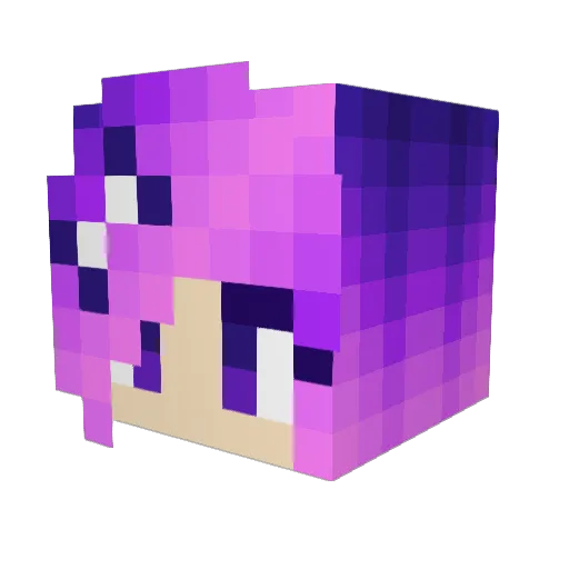 Single_Waves24 Minecraft avatar head, 3D render