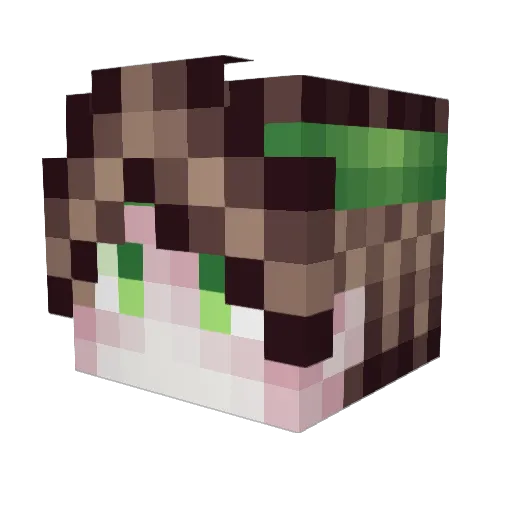 Singlech Minecraft avatar head, 3D render