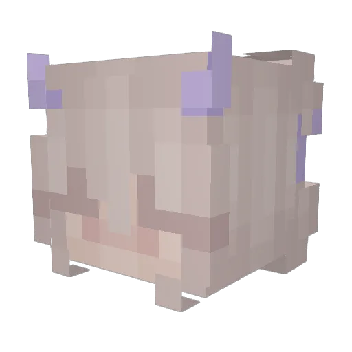 SingularShadow Minecraft avatar head, 3D render