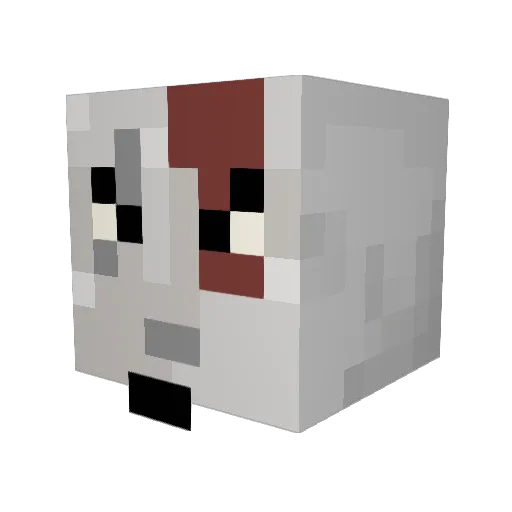 SinisterSkull99 Minecraft avatar head, 3D render