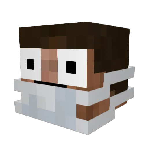 Sinisteratic Minecraft avatar head, 3D render