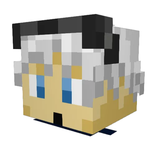 Sinix808 Minecraft avatar head, 3D render