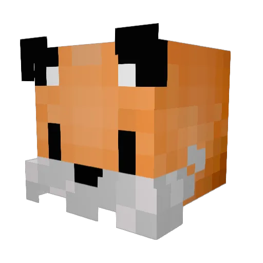 SinjorTurtle Minecraft avatar head, 3D render