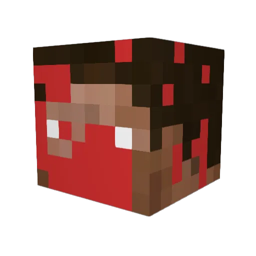 SinkSank Minecraft avatar head, 3D render