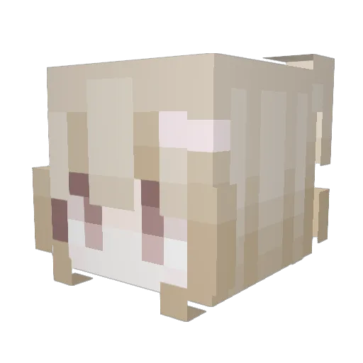 Sinker Minecraft avatar head, 3D render