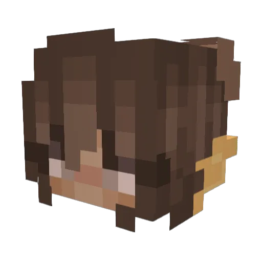SinkingSea123 Minecraft avatar head, 3D render