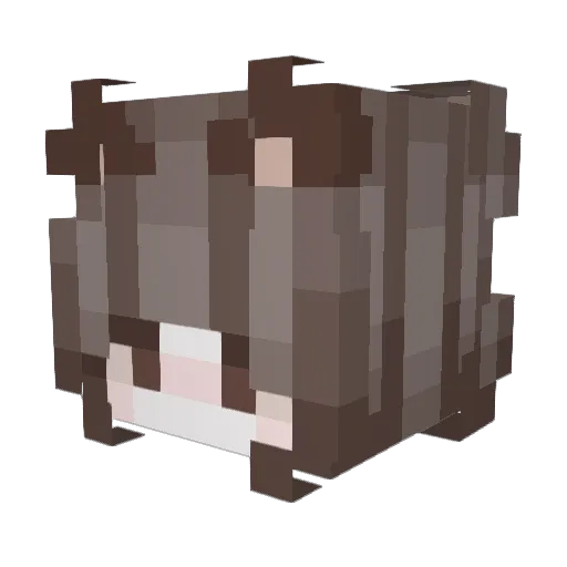 Sinkka Minecraft avatar head, 3D render