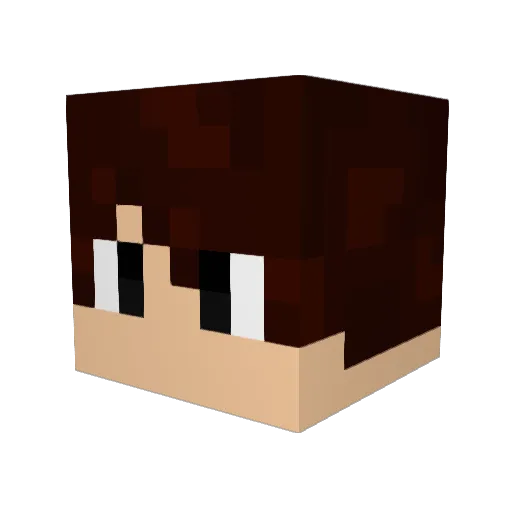 Sinkzim Minecraft avatar head, 3D render