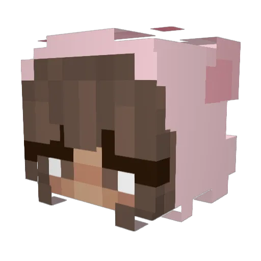 Sinmwa Minecraft avatar head, 3D render