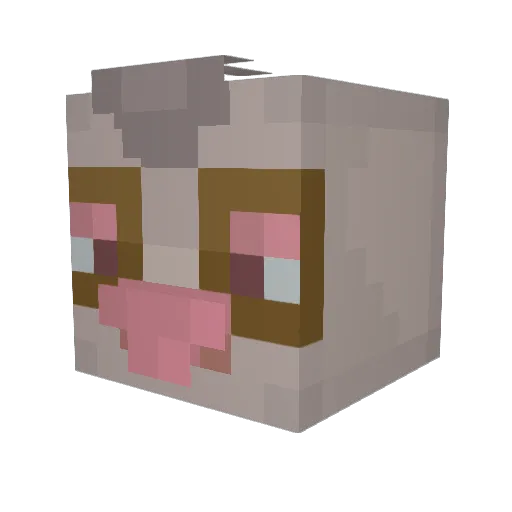 Sinn Minecraft avatar head, 3D render