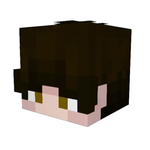 Sinncerity Minecraft avatar head, 3D render