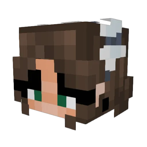 Sinnpin Minecraft avatar head, 3D render