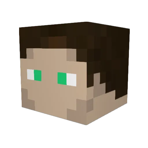 Sinofj Minecraft avatar head, 3D render