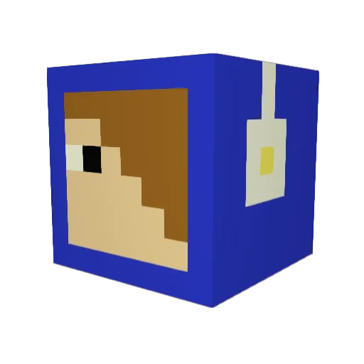 Sinra0924 Minecraft avatar head, 3D render
