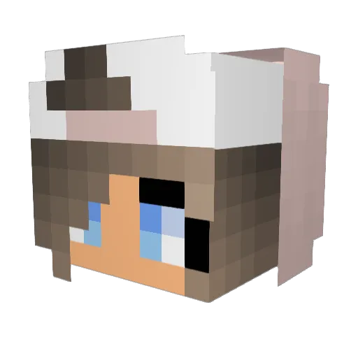 Sinse1 Minecraft avatar head, 3D render