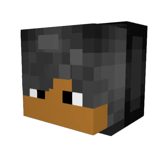 Sinskills Minecraft avatar head, 3D render