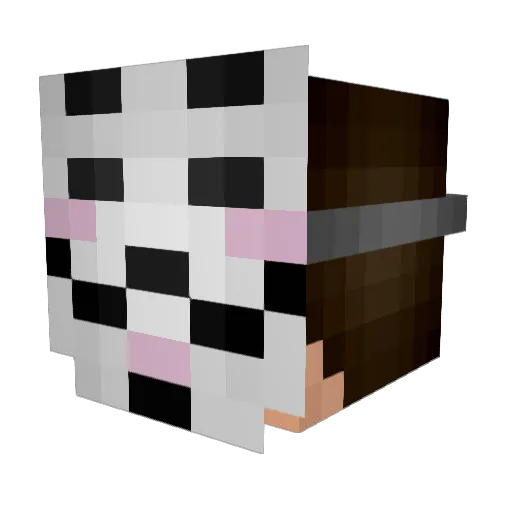 Sinstormer Minecraft avatar head, 3D render