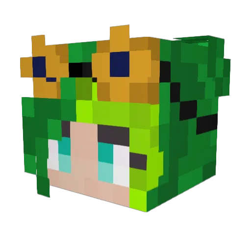 SionaCV Minecraft avatar head, 3D render