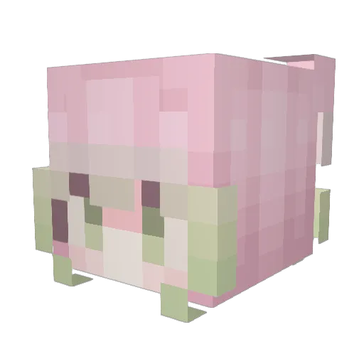 Sionnan Minecraft avatar head, 3D render