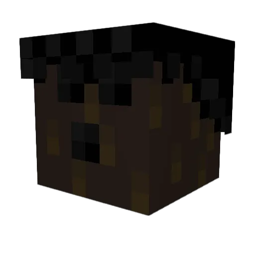 SionyPoo Minecraft avatar head, 3D render