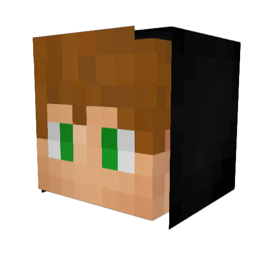 Sioon10034 Minecraft avatar head, 3D render