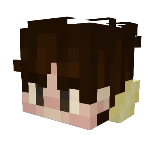 SiphonicAsp16 Minecraft avatar head, 3D render