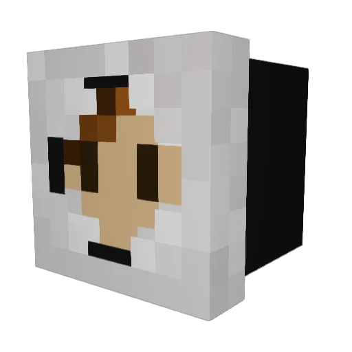 SippingSyrup40 Minecraft avatar head, 3D render