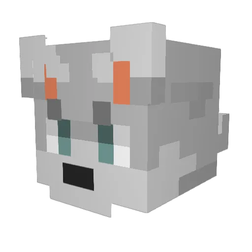 Sippitehwawa Minecraft avatar head, 3D render
