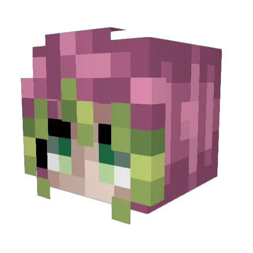 Sippschaft Minecraft avatar head, 3D render