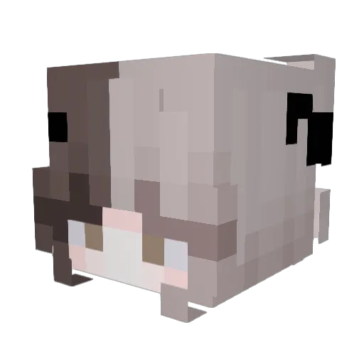 SipsTeaNervously Minecraft avatar head, 3D render