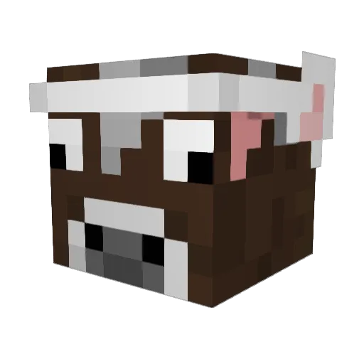 Sir1Kow Minecraft avatar head, 3D render