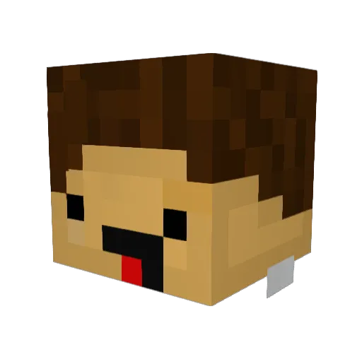 Sir5z Minecraft avatar head, 3D render