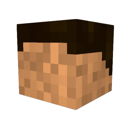 SirAnaxagoras Minecraft avatar head, 3D render