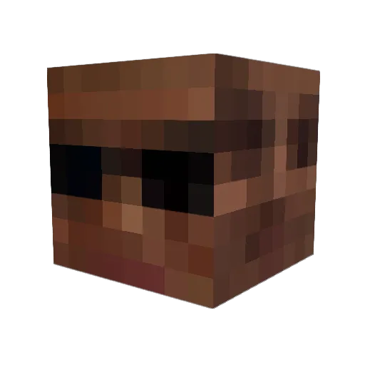 SirBarkyLot Minecraft avatar head, 3D render