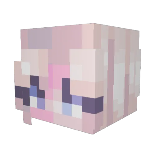 SirBobithOfDoom Minecraft avatar head, 3D render