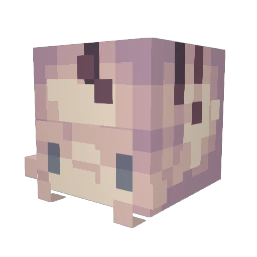 SirBrunost Minecraft avatar head, 3D render