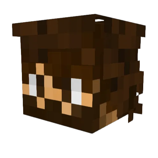 SirBurk Minecraft avatar head, 3D render