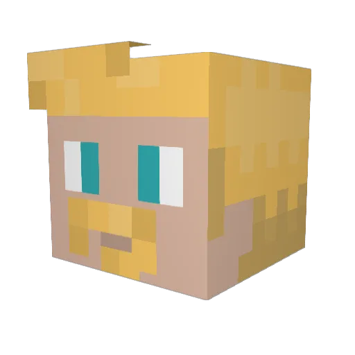 SirCr4ft Minecraft avatar head, 3D render