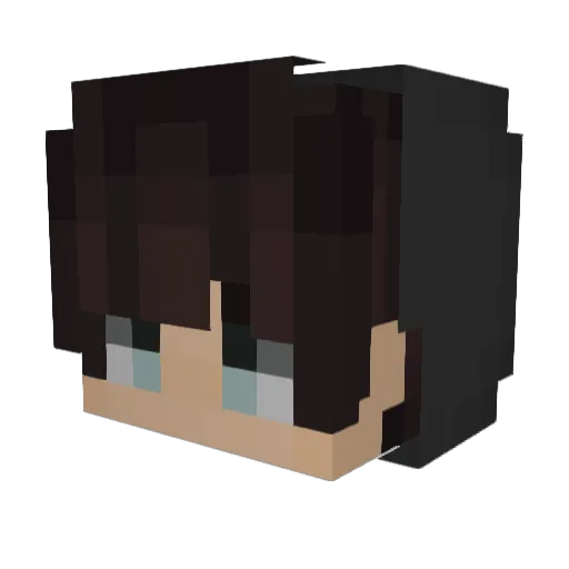 SirCrazinstein Minecraft avatar head, 3D render