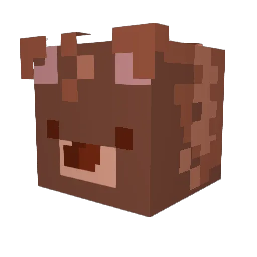 SirCulBear Minecraft avatar head, 3D render