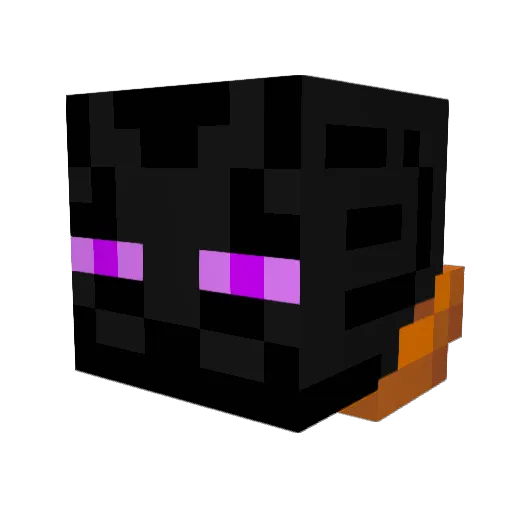 SirDexter11 Minecraft avatar head, 3D render