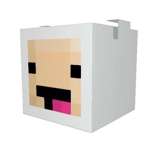 SirDogde Minecraft avatar head, 3D render