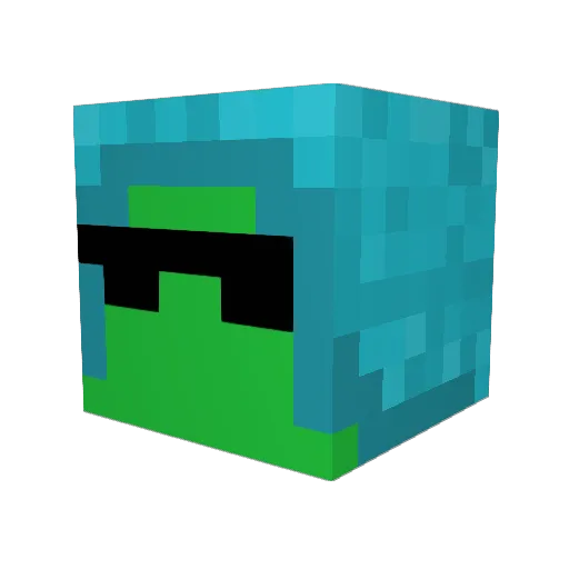 SirDolphin18 Minecraft avatar head, 3D render